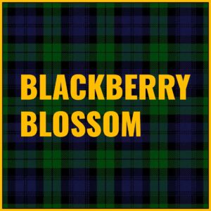 Blackberry Blossom Tab
