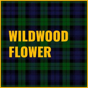 Wildwood Flower Tab